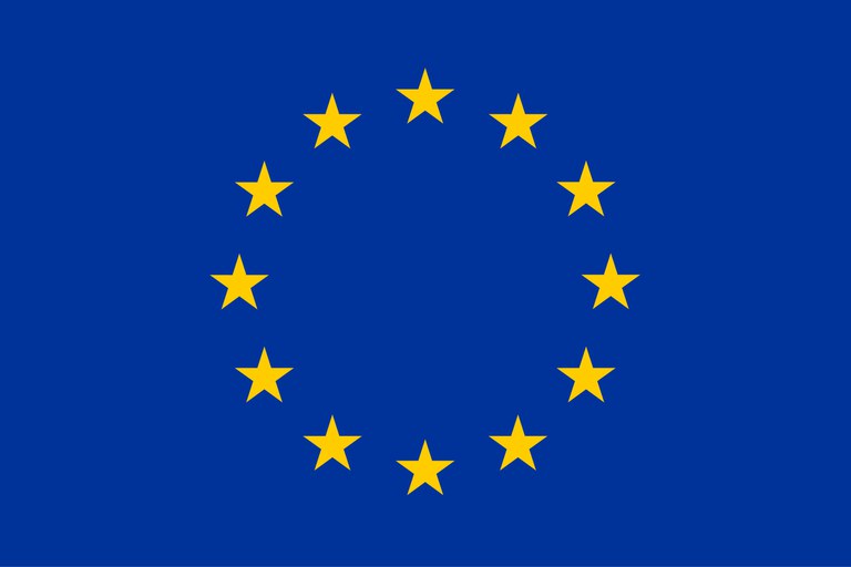 EU Logo