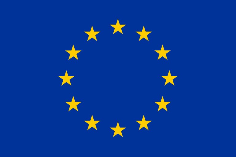 EU Logo